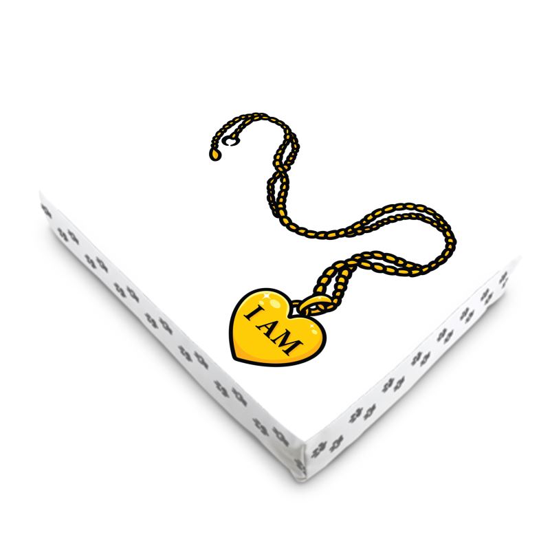 My dog is infinite things