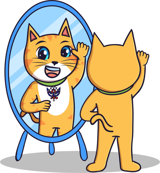 Bacci the orange cat smiling at himself in a mirror